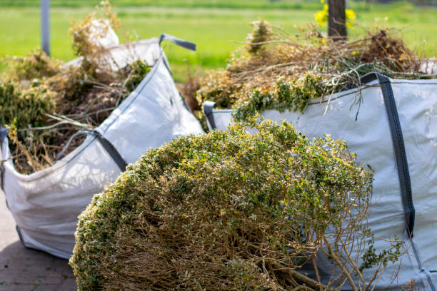 Best Residential Junk Removal  in Babbitt, MN